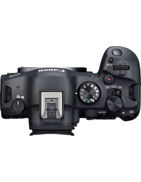 R6 Mark II + RF 24-105mm f/4-7.1 IS STM